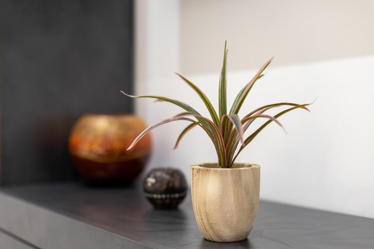 E-Home Apartments ヴァルナ エクステリア 写真